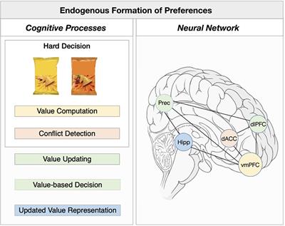 Where do our preferences come from? How hard decisions shape our preferences